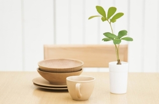 清新静物摄影作品_爱午后